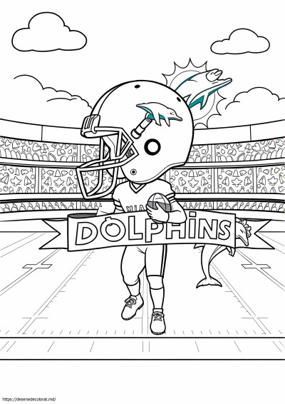 Nfl miami delfini