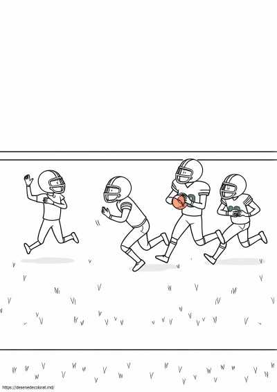Jucători nfl