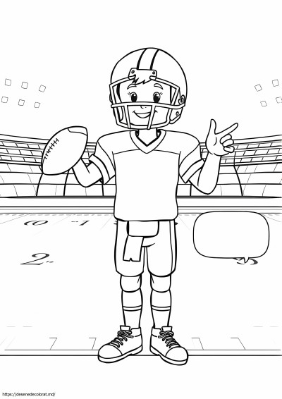 Fundas nfl