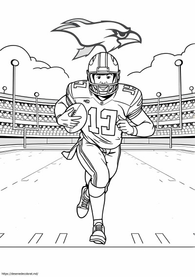 Echipa nfl
