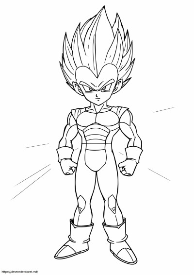 Vegeta 4