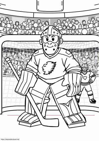 Hochei nhl hochei portar