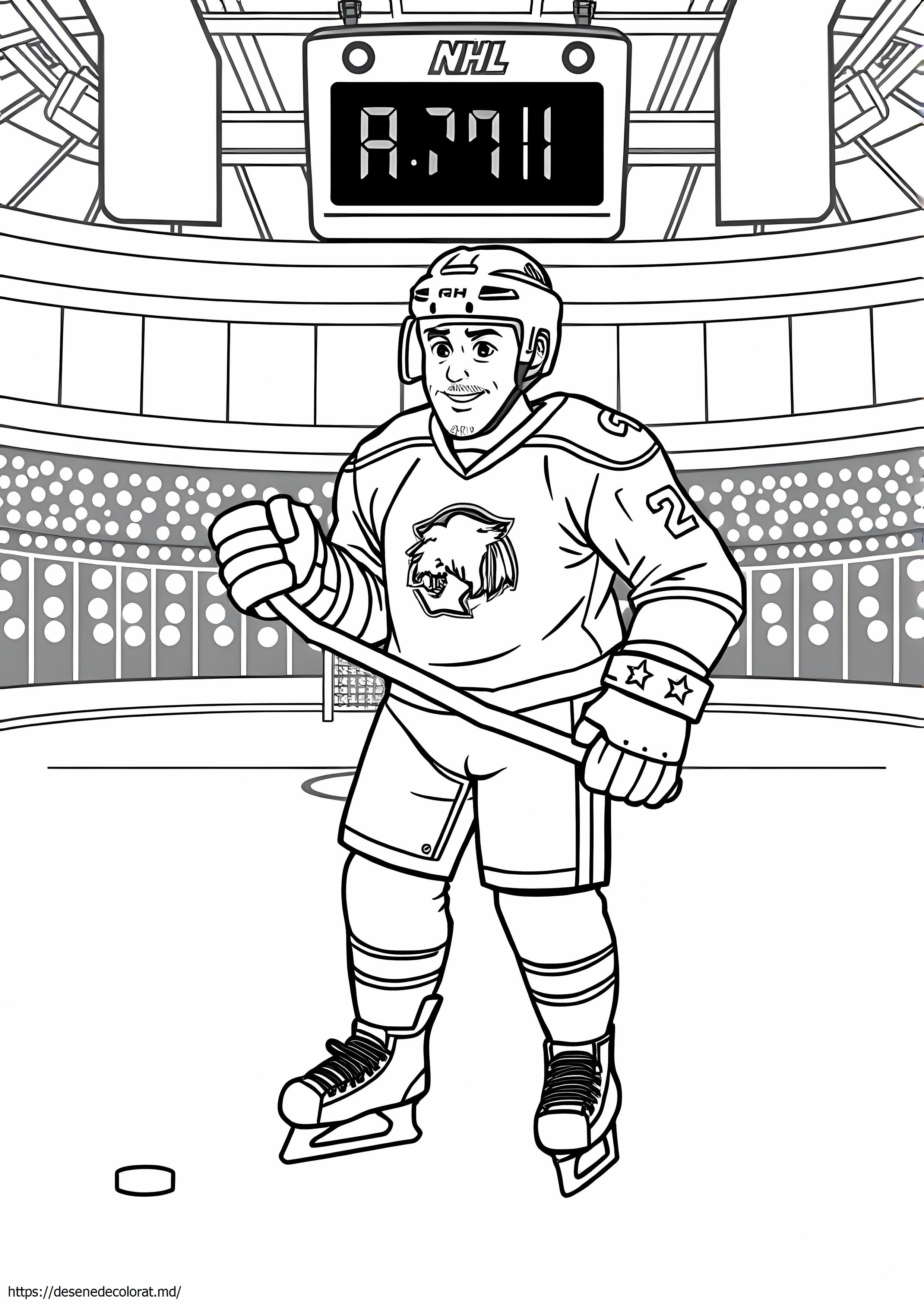 Jucător de hochei nhl