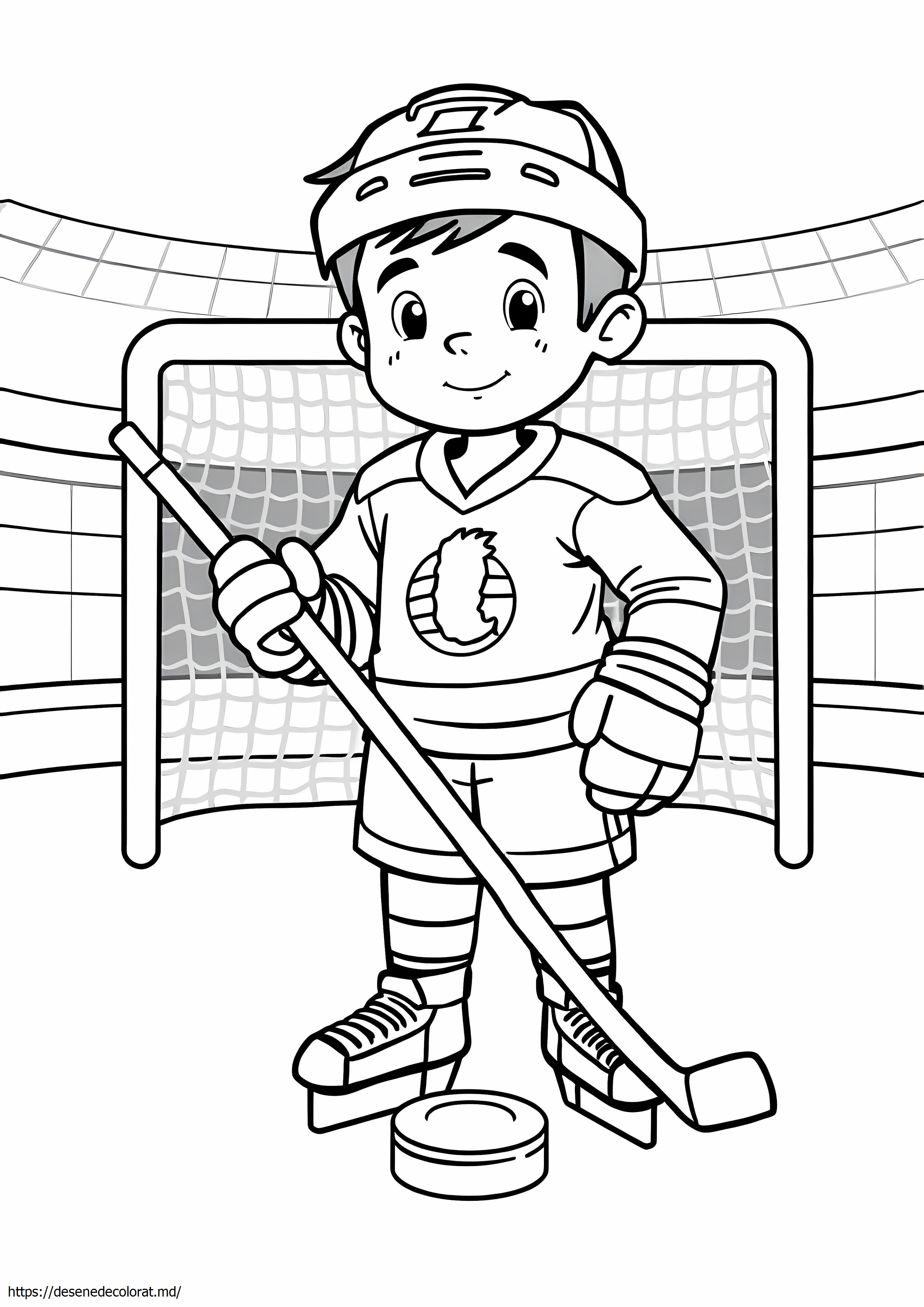 Jucător nhl