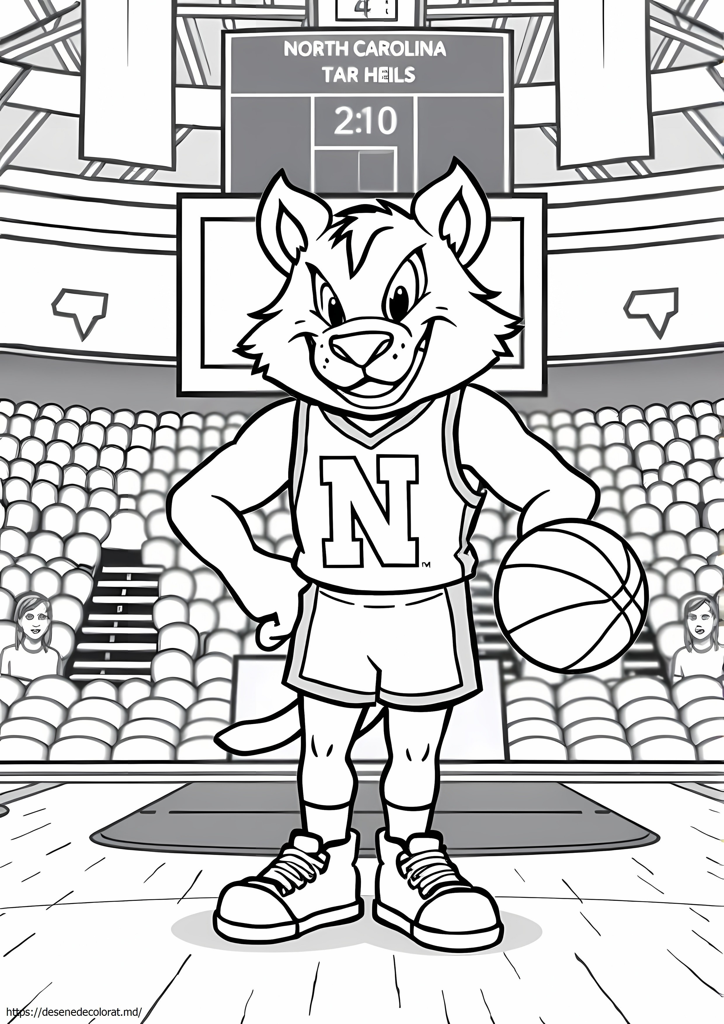 North Carolina Tar heels