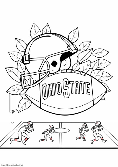 Fotbalul Ohio State Buckeyes