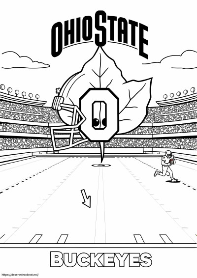 Fotbal de stat Ohio