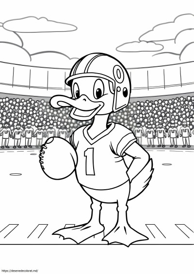 Fotbal de rațe din oregon