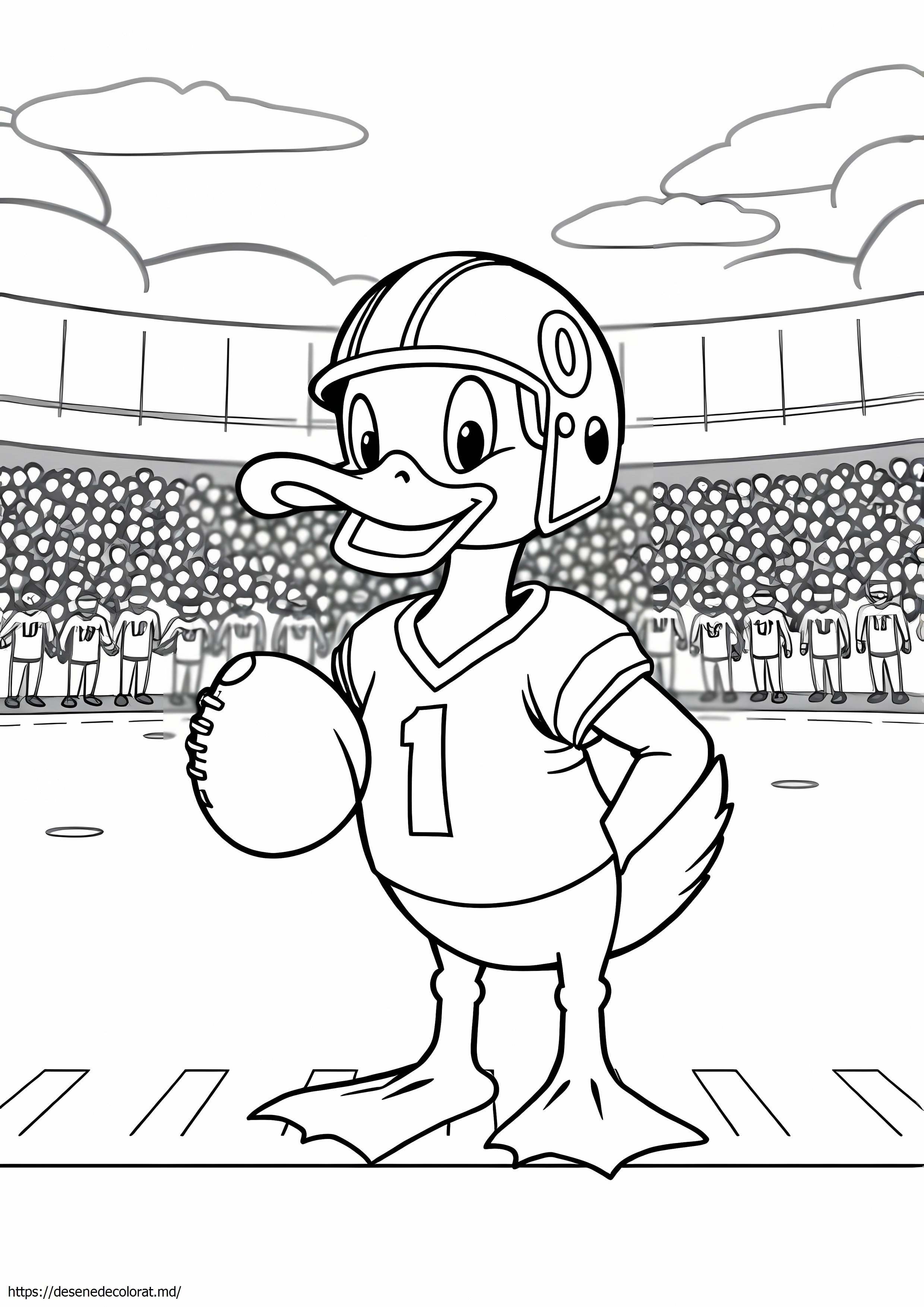 Fotbal de rațe din oregon