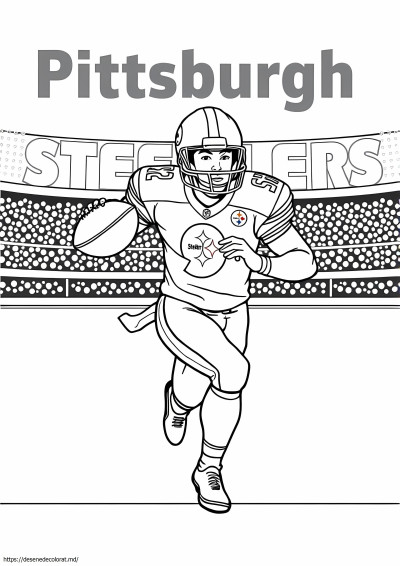 Pittsburgh steelers