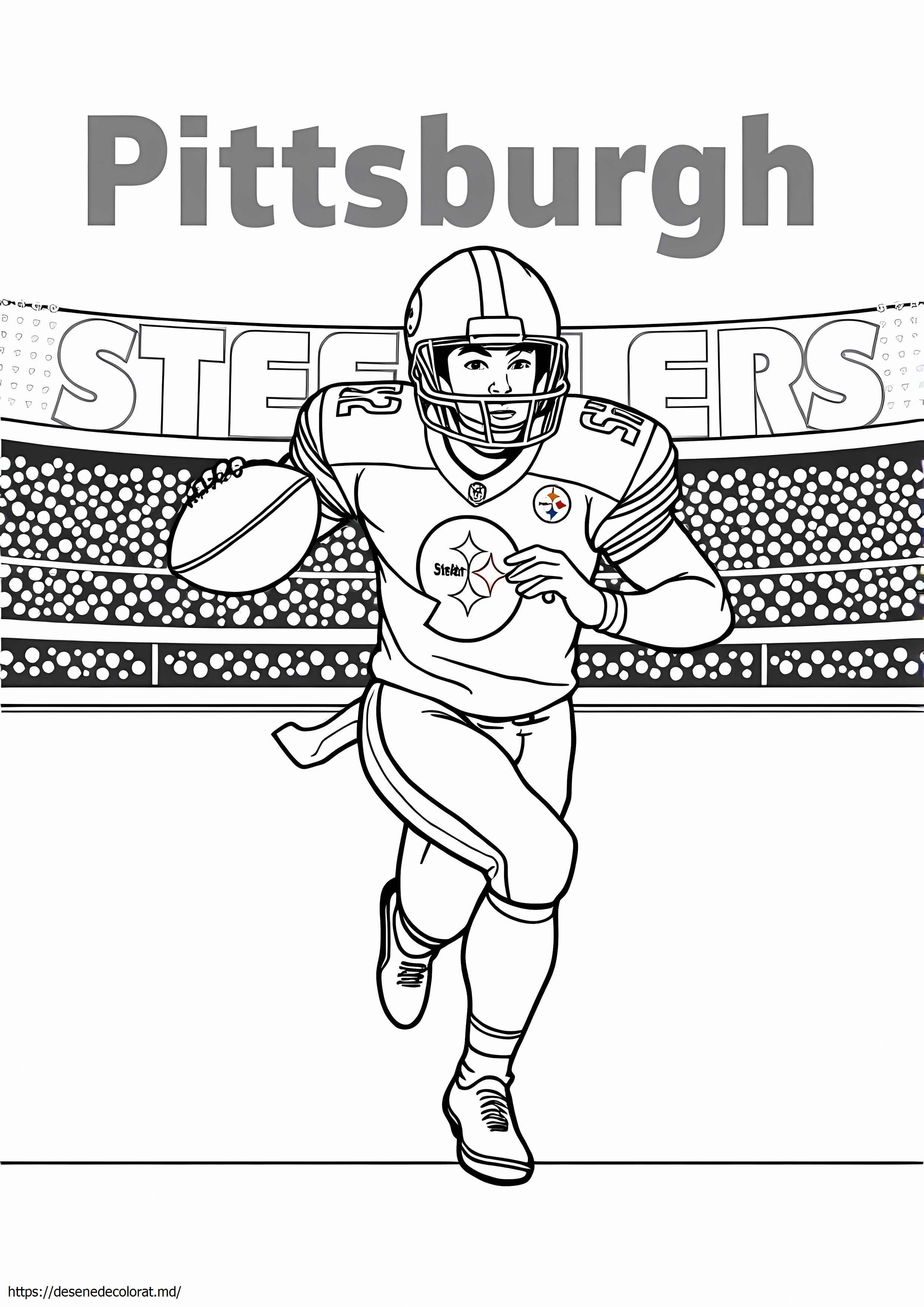 Pittsburgh steelers