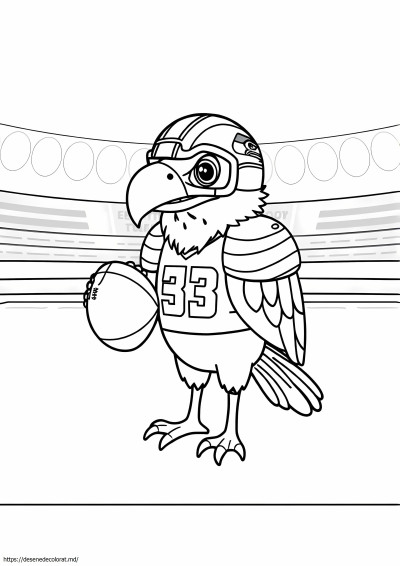 Fotbalul sehawks