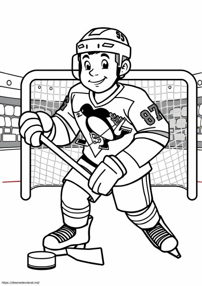 Hochei Sidney Crosby