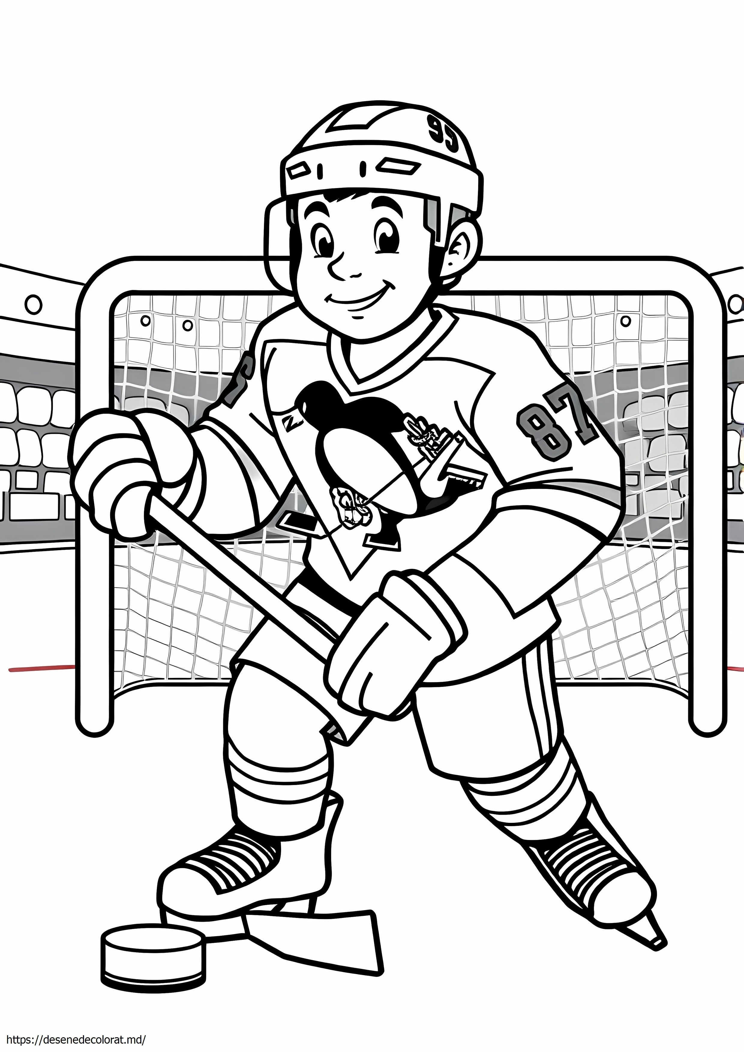 Hochei Sidney Crosby