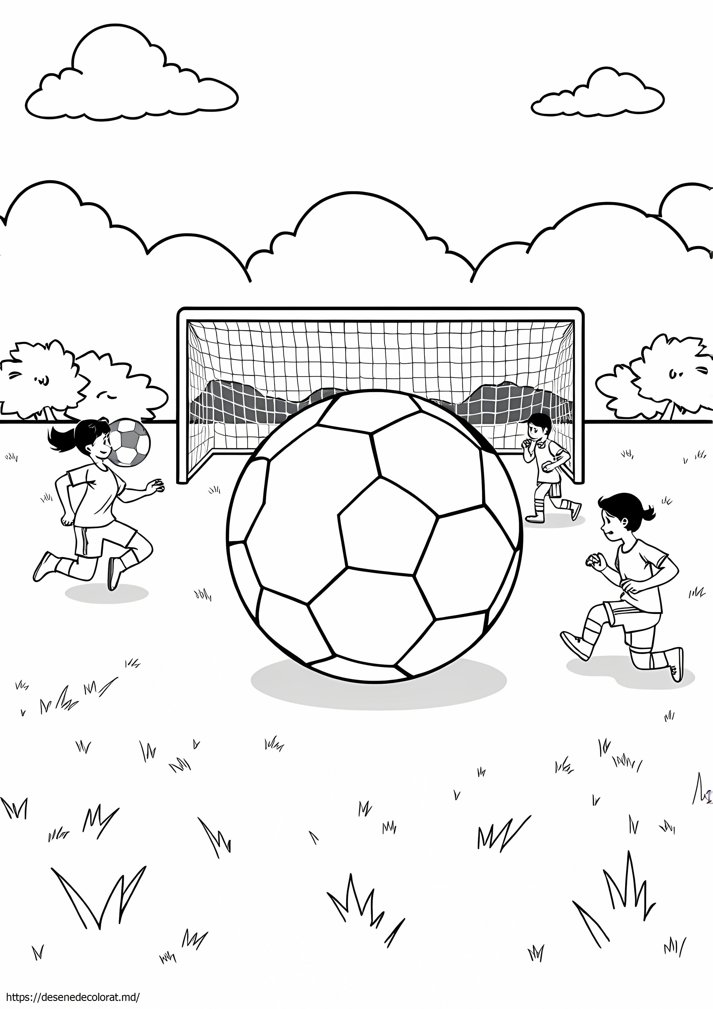 Fotbal