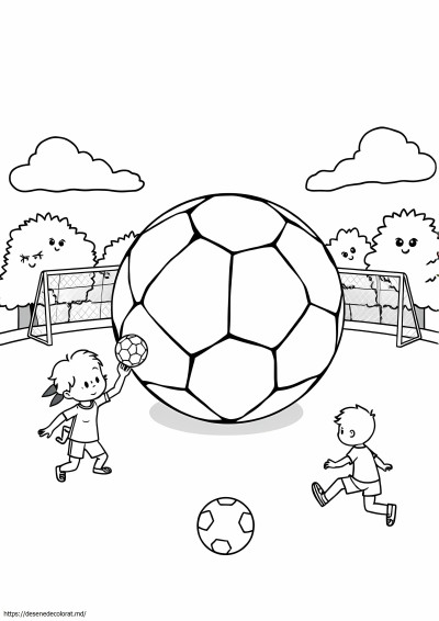 Fotbal