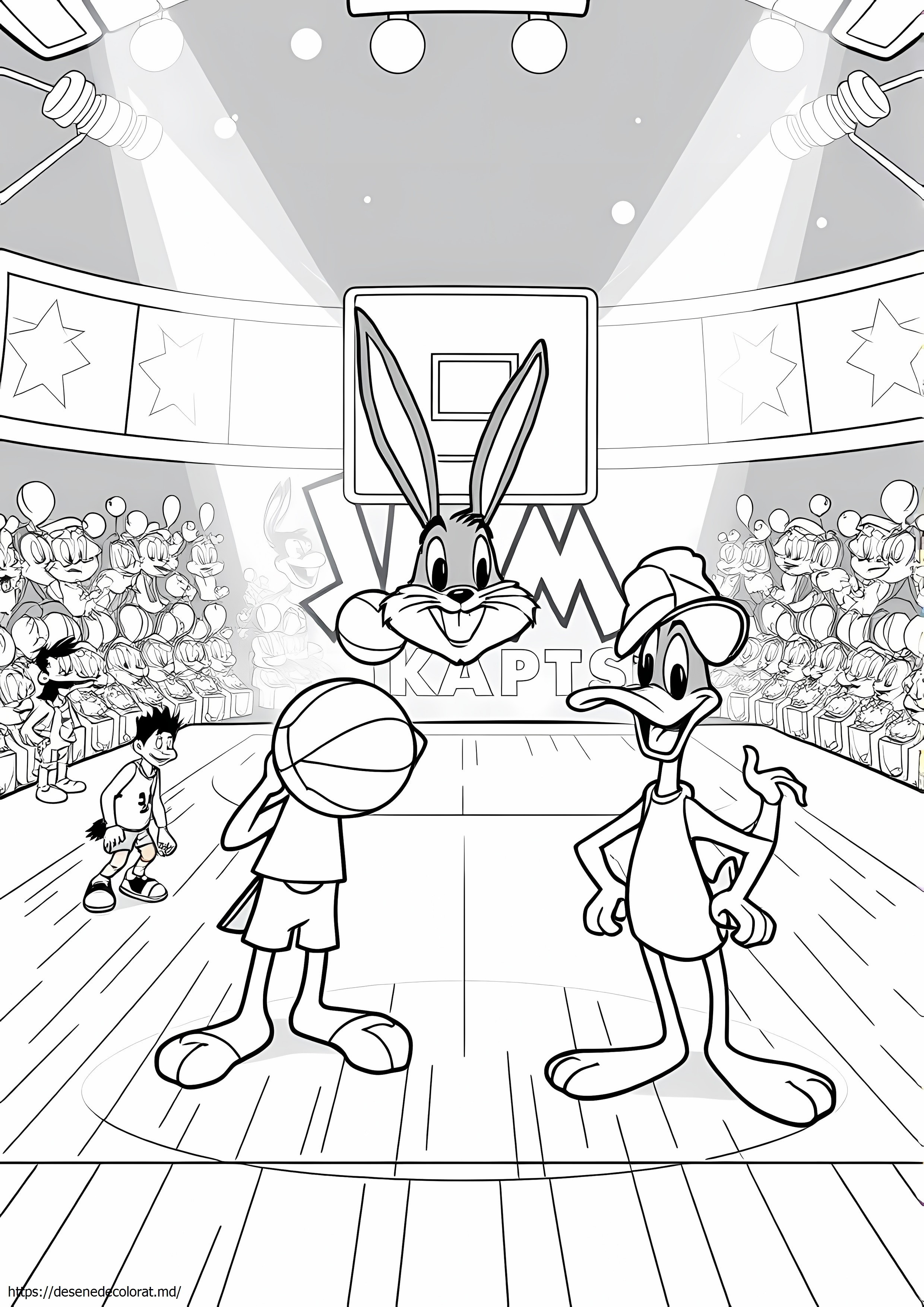 Space Jam baschet