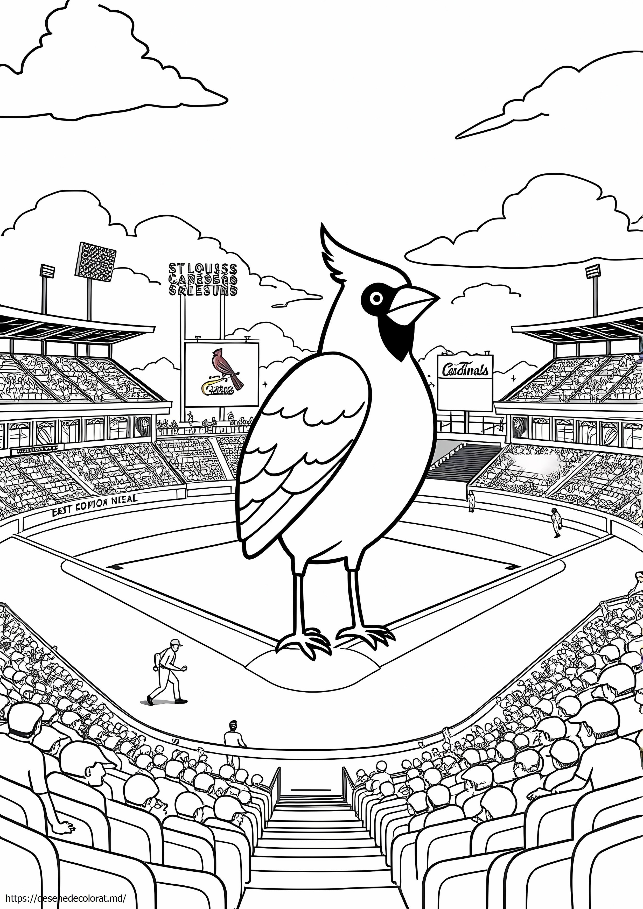 St Louis Cardinals