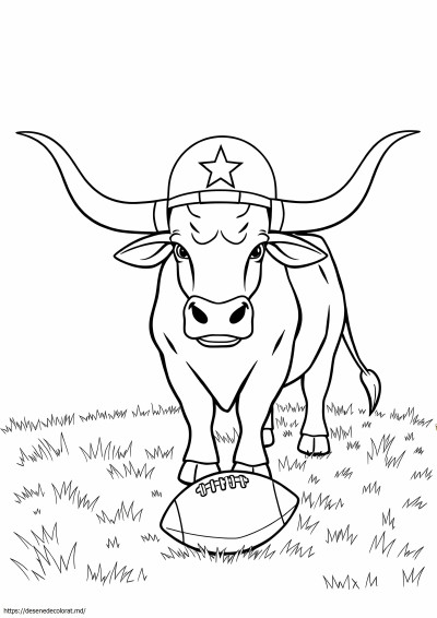 Texas longhorns