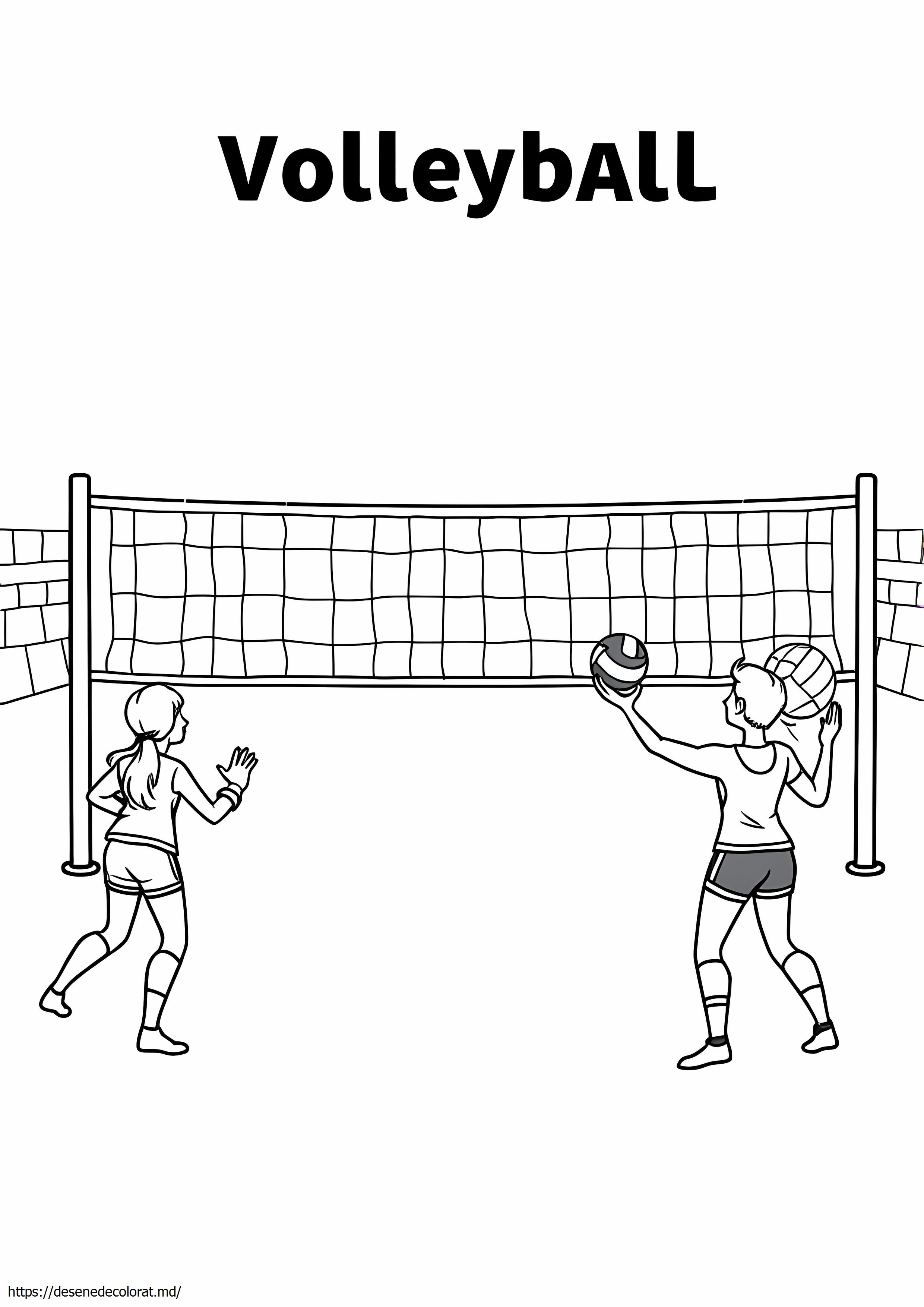 Volei pentru