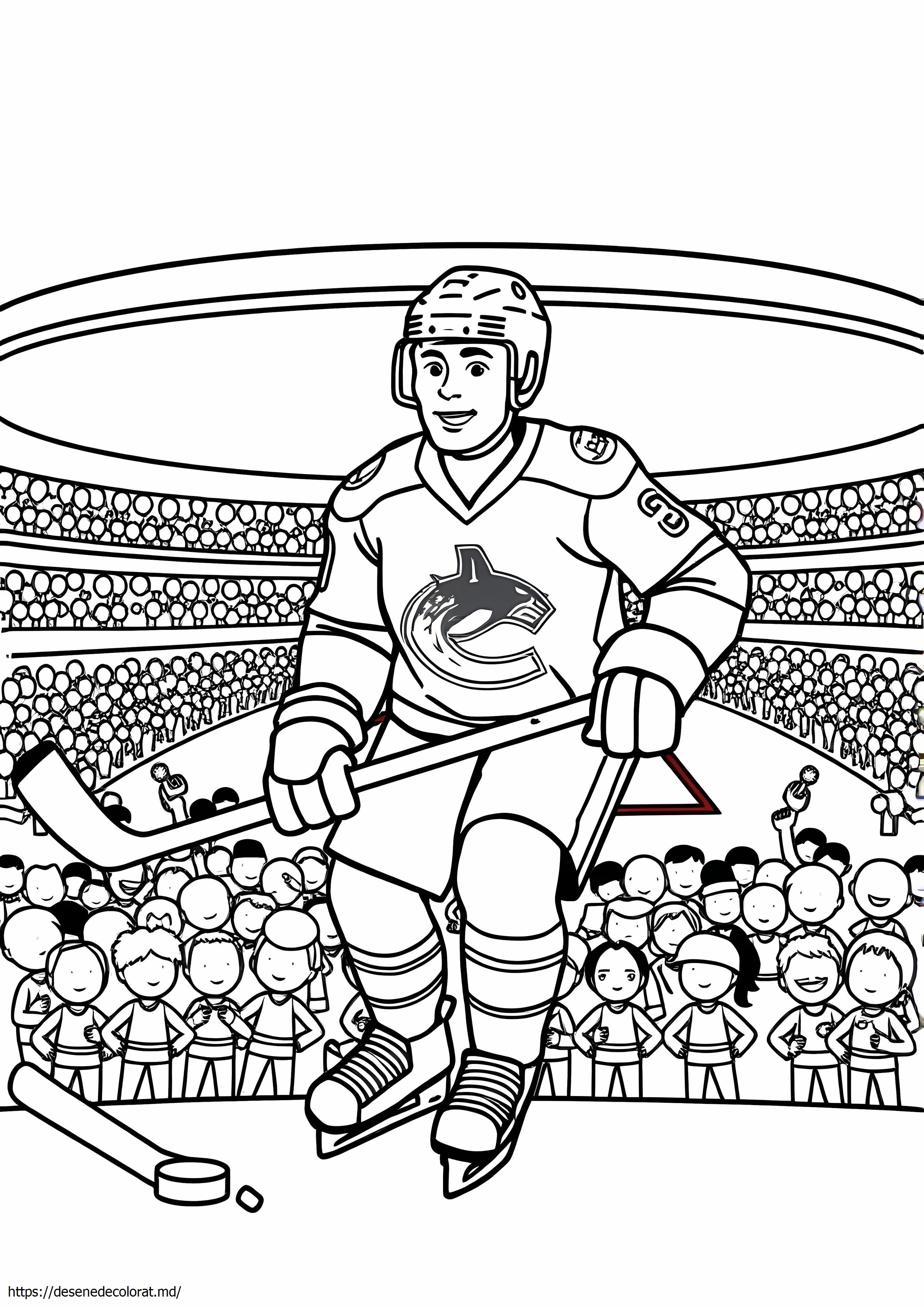 Vancouver canucks