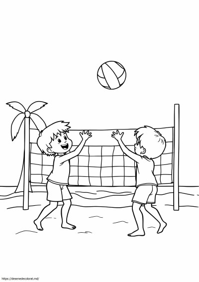 Volei