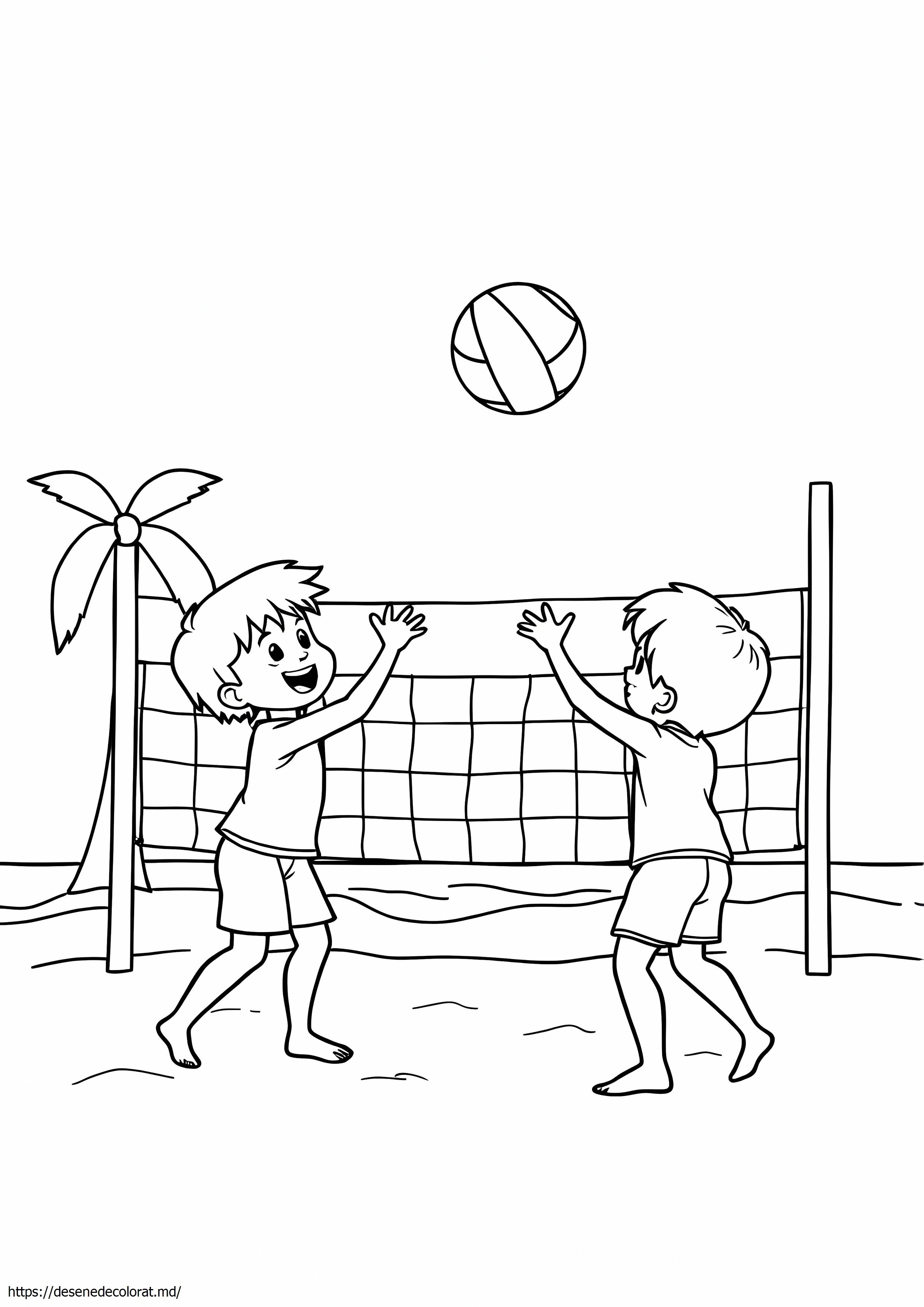 Volei