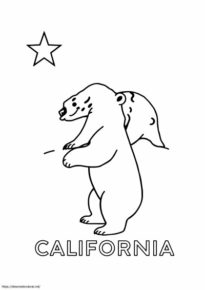 Steag californiei