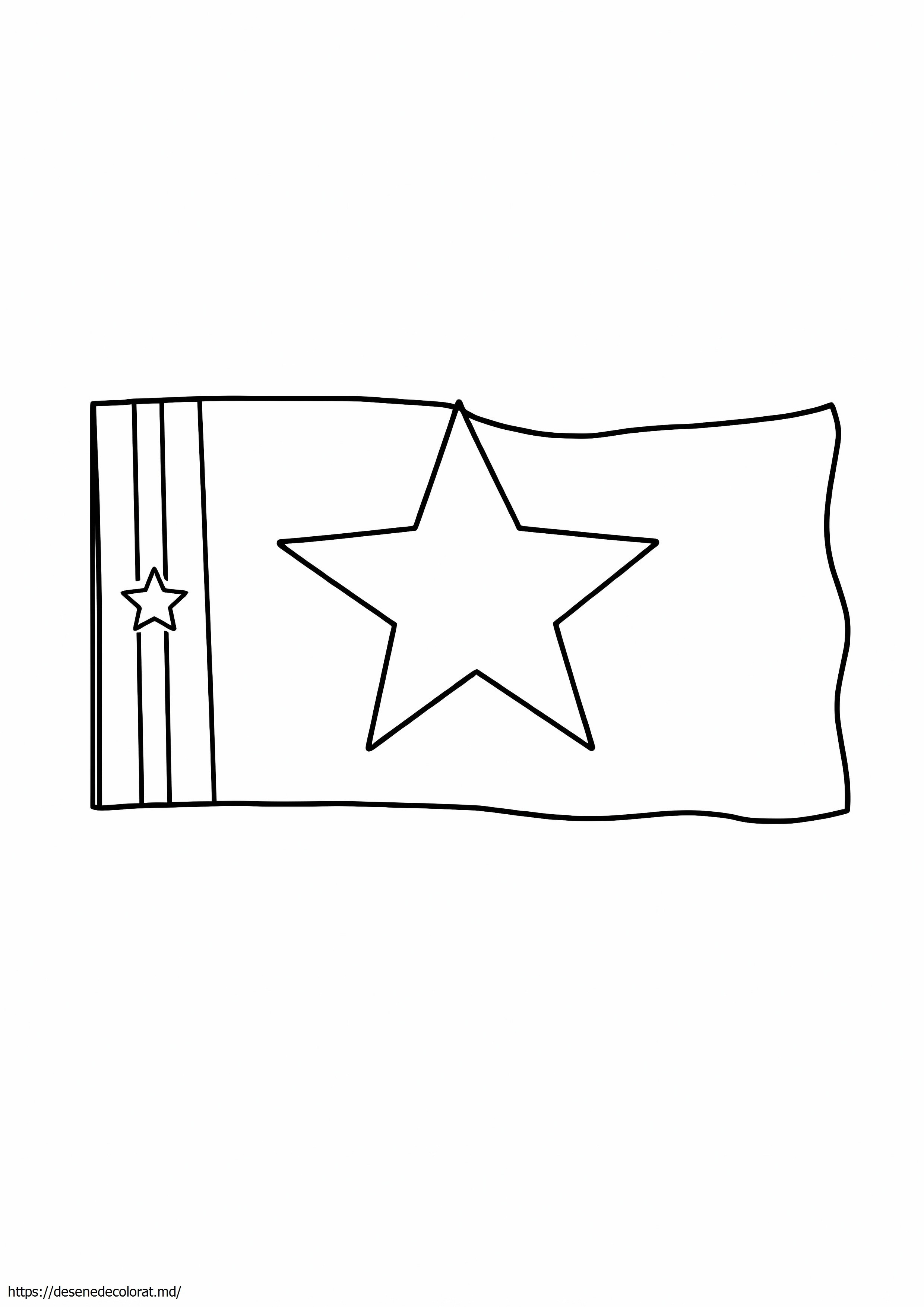 Steag texas