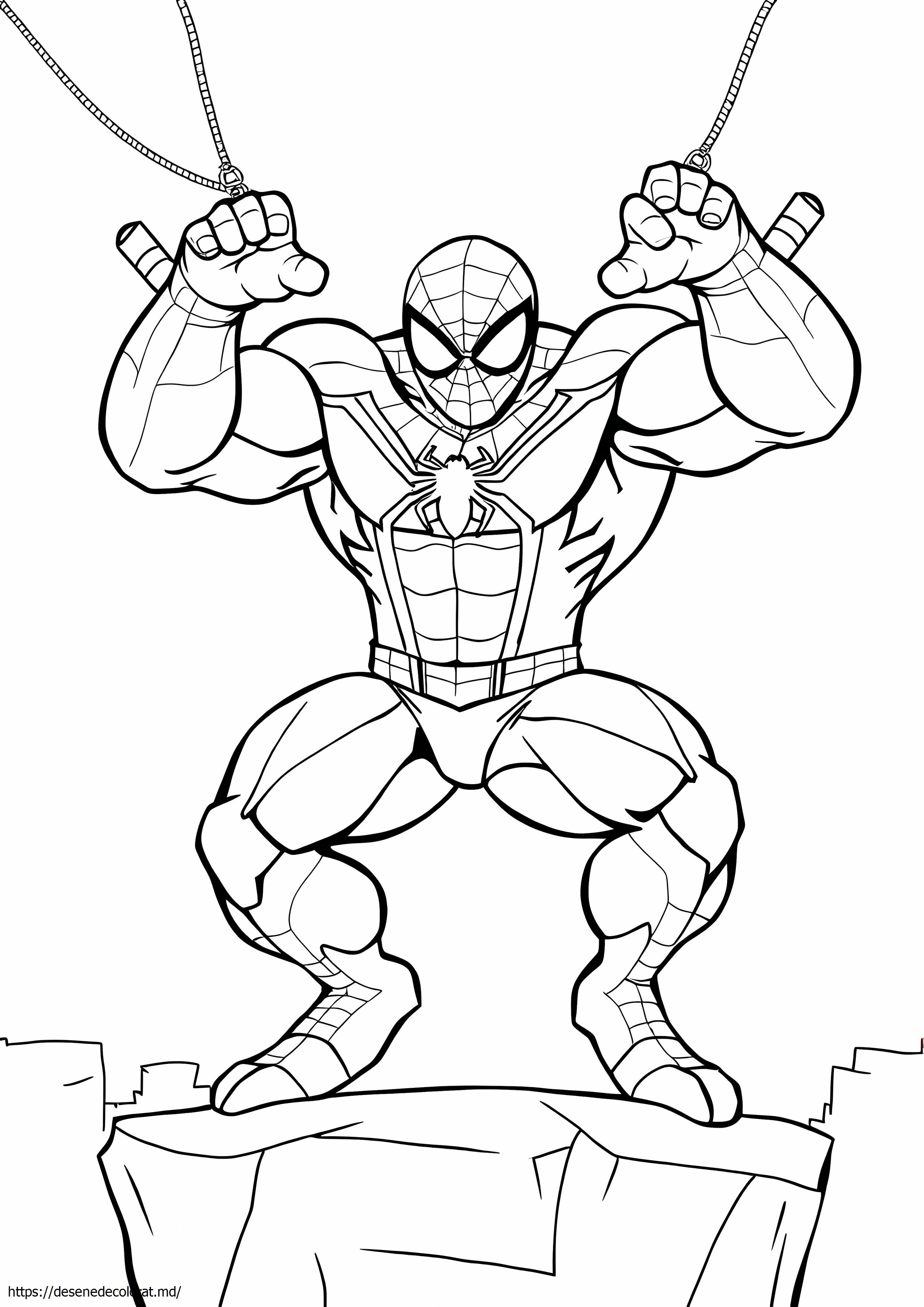 Hulk de păianjen
