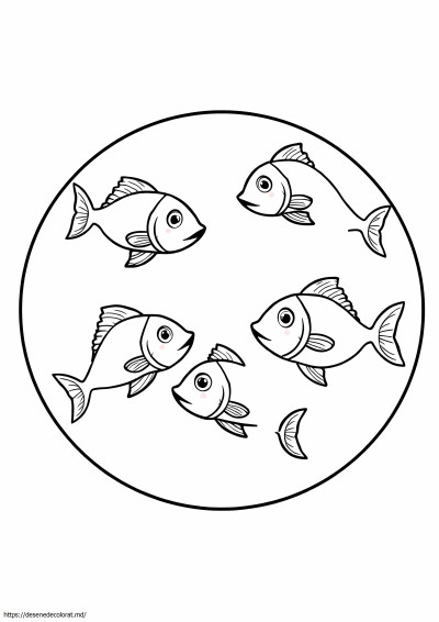 6 pesti