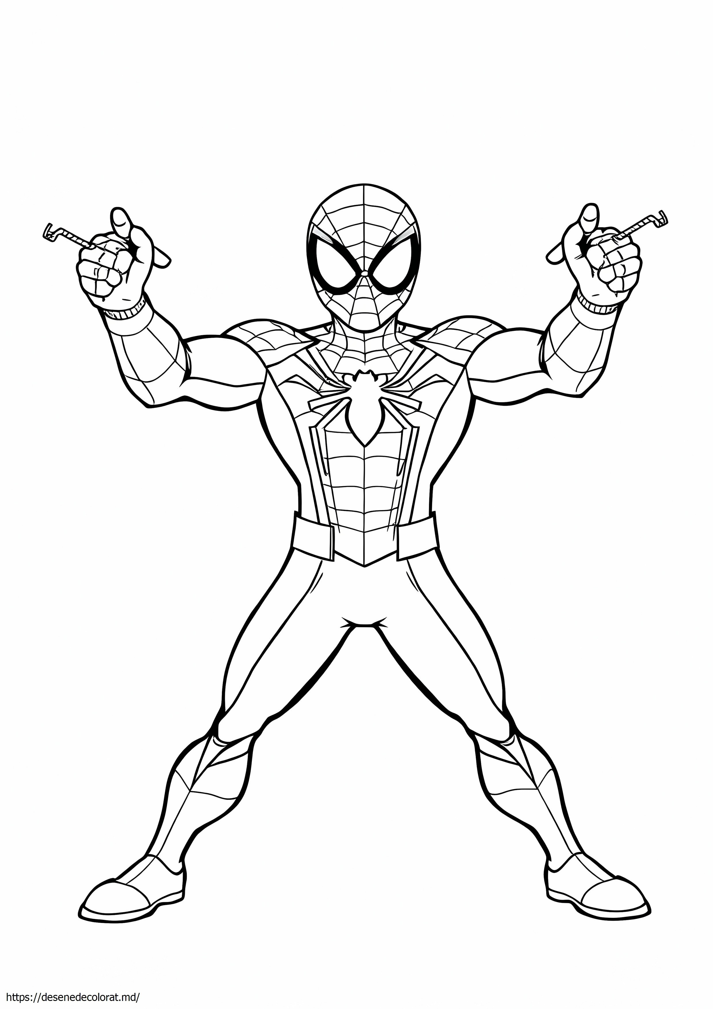 Spider vers spiderman