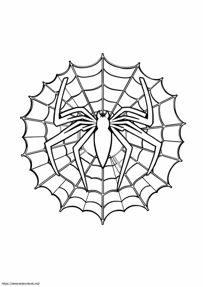Logo-ul spiderman