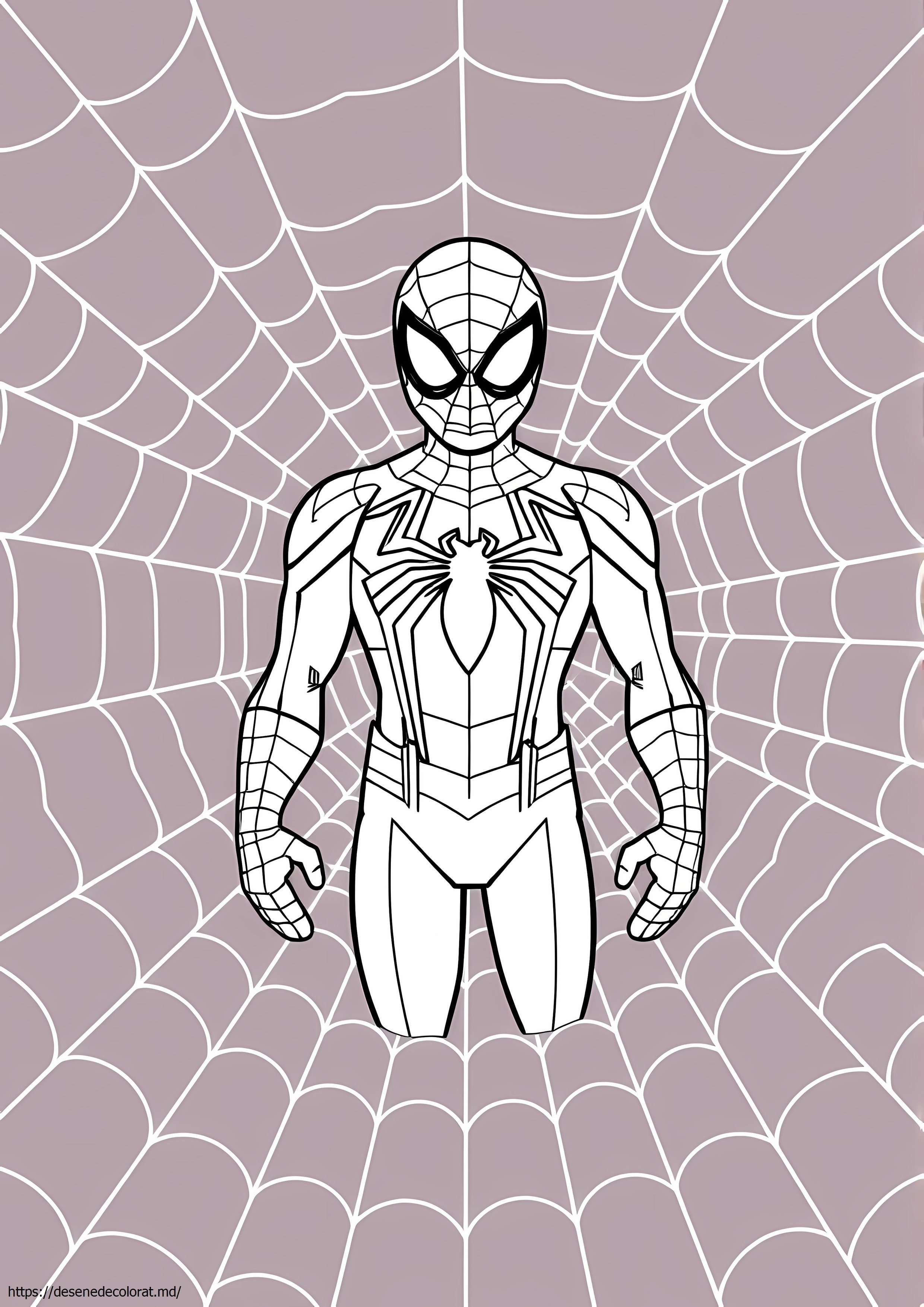 Spiderman în spiderverse