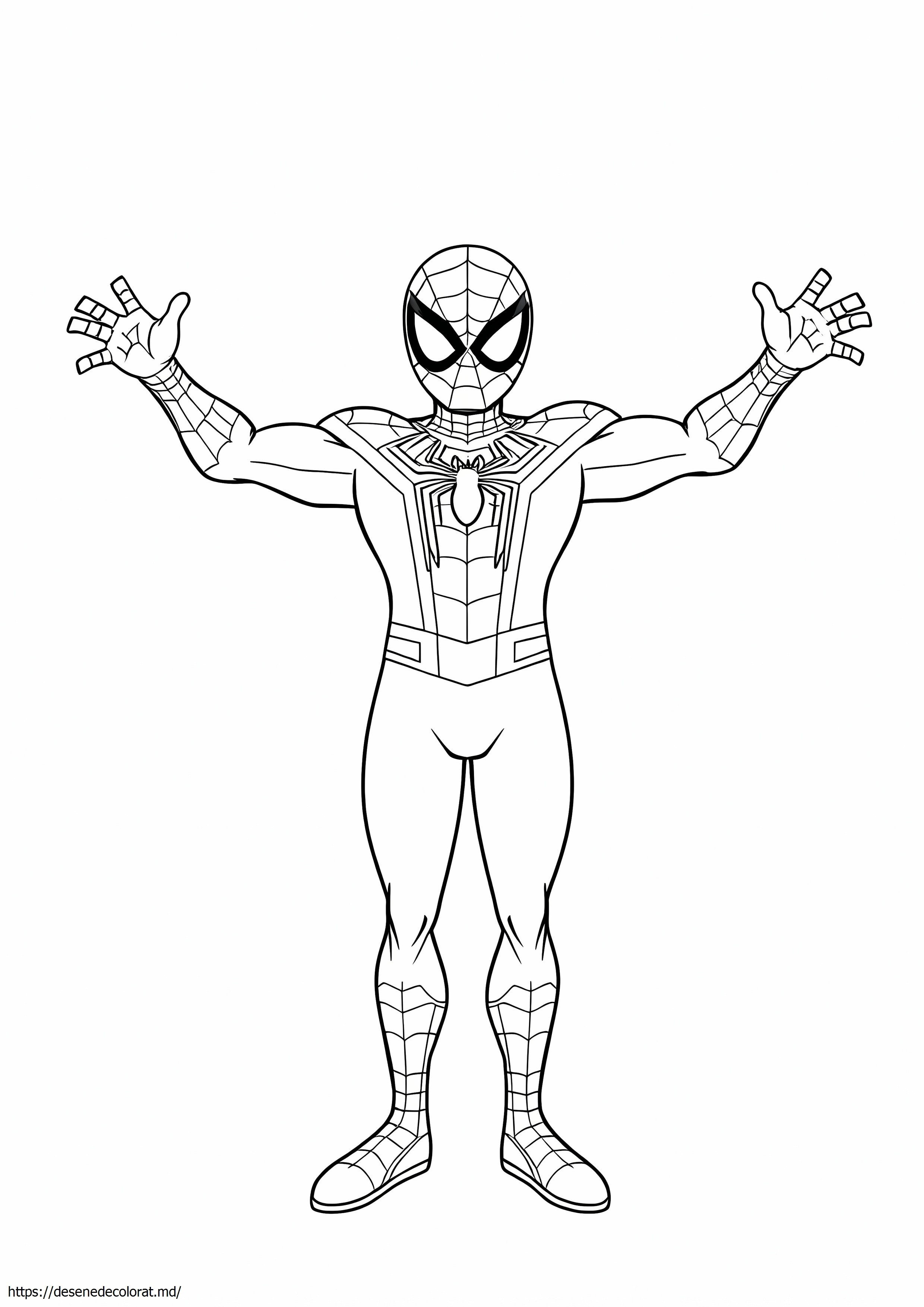 Spiderman în picioare