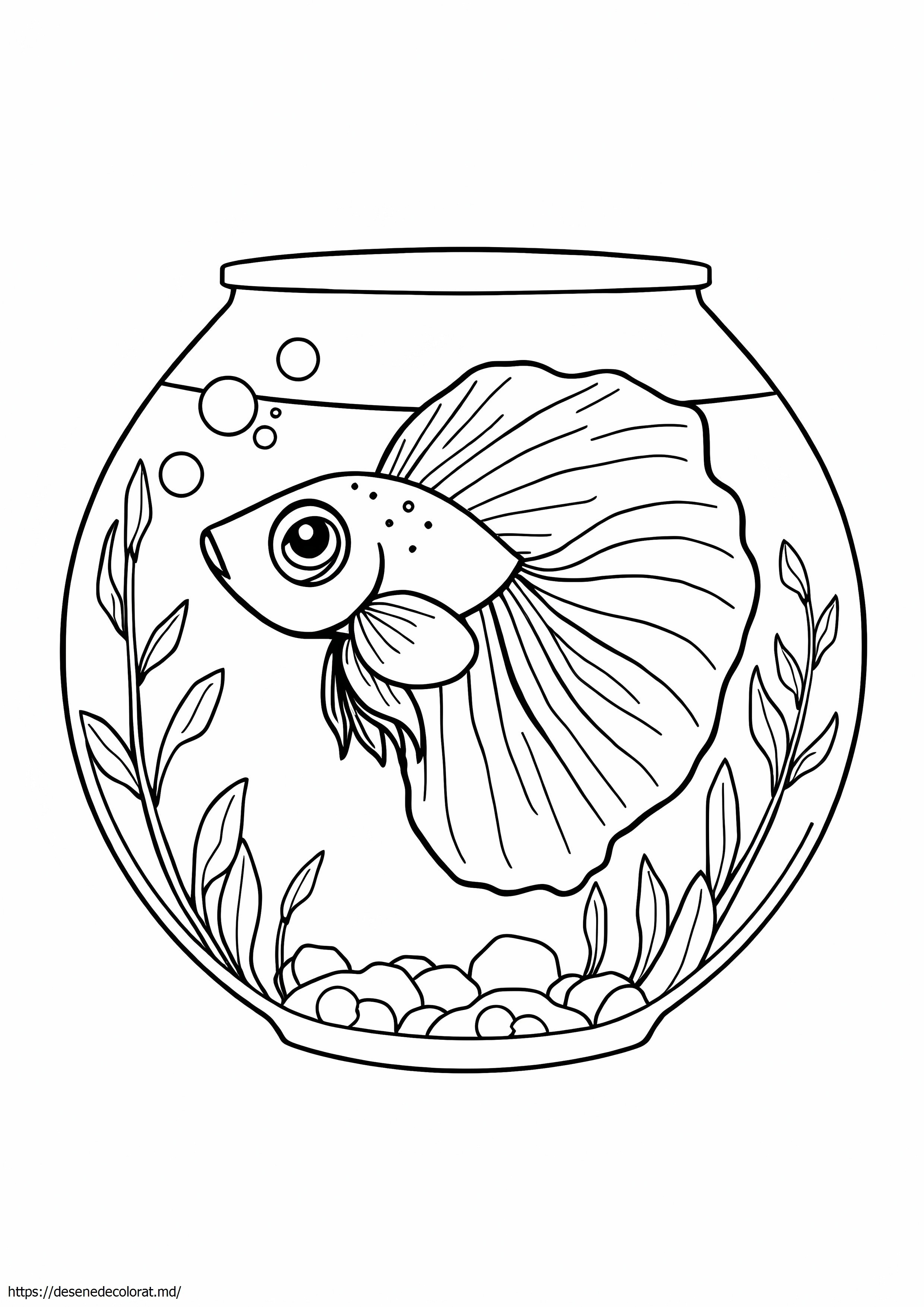 Pește betta