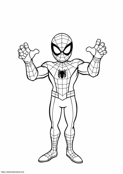Spiderman și spin