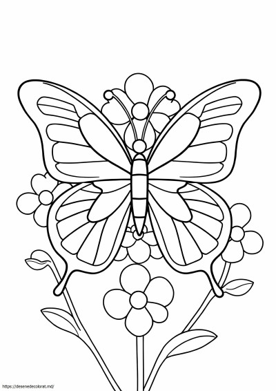 Simetria fluturelui
