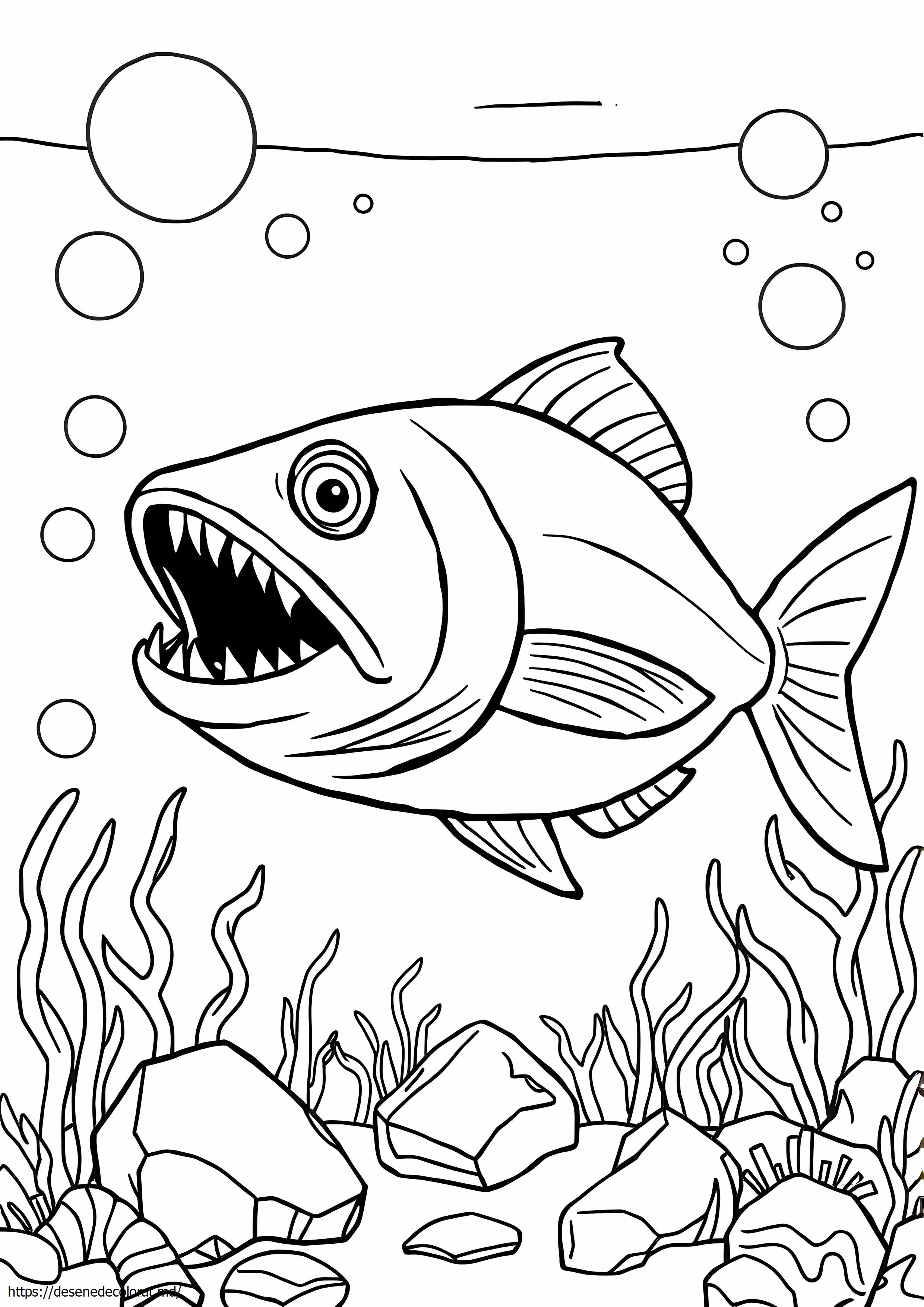 Pește piranha