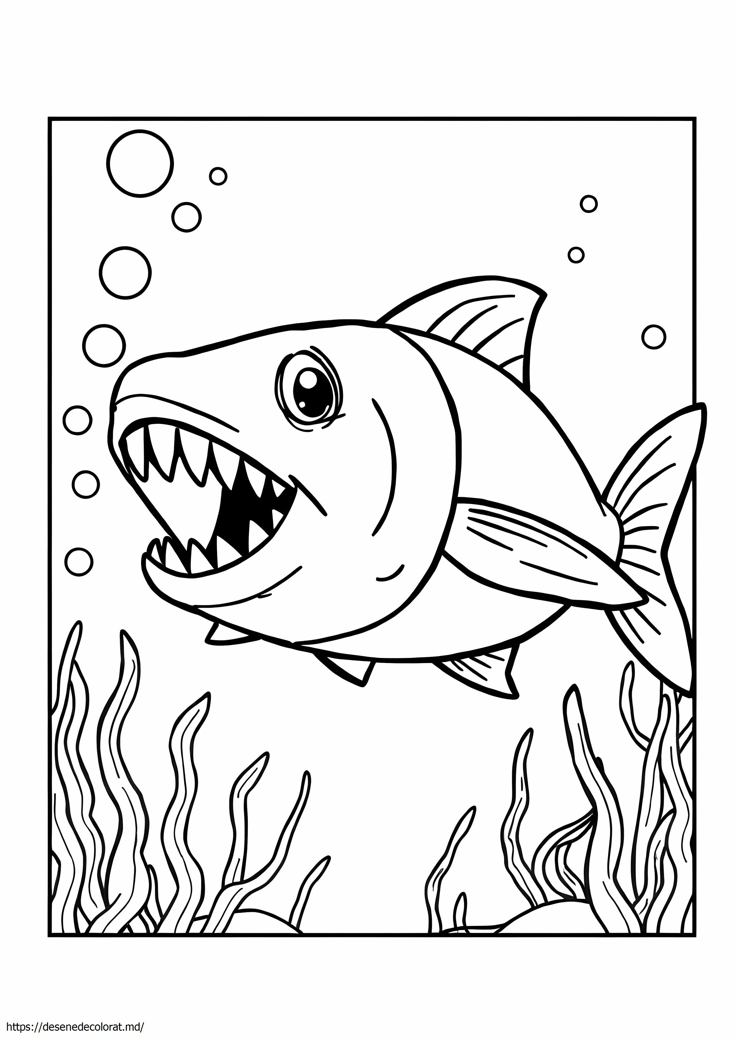 Piranha