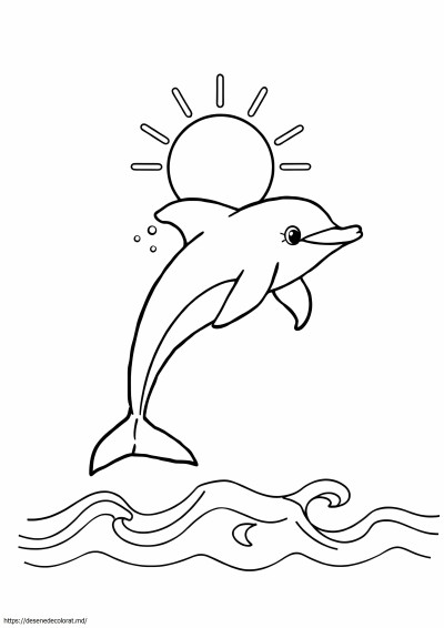 Imprimă delfin