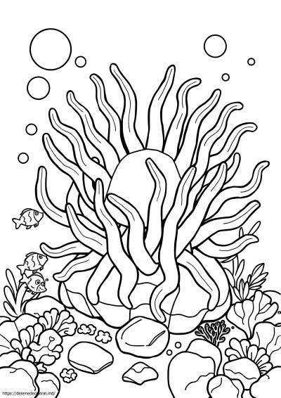 Anemonă de mare