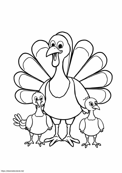Curcan de familie cu 4 membri