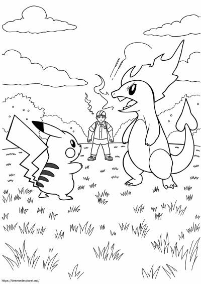 Lupta pokemon