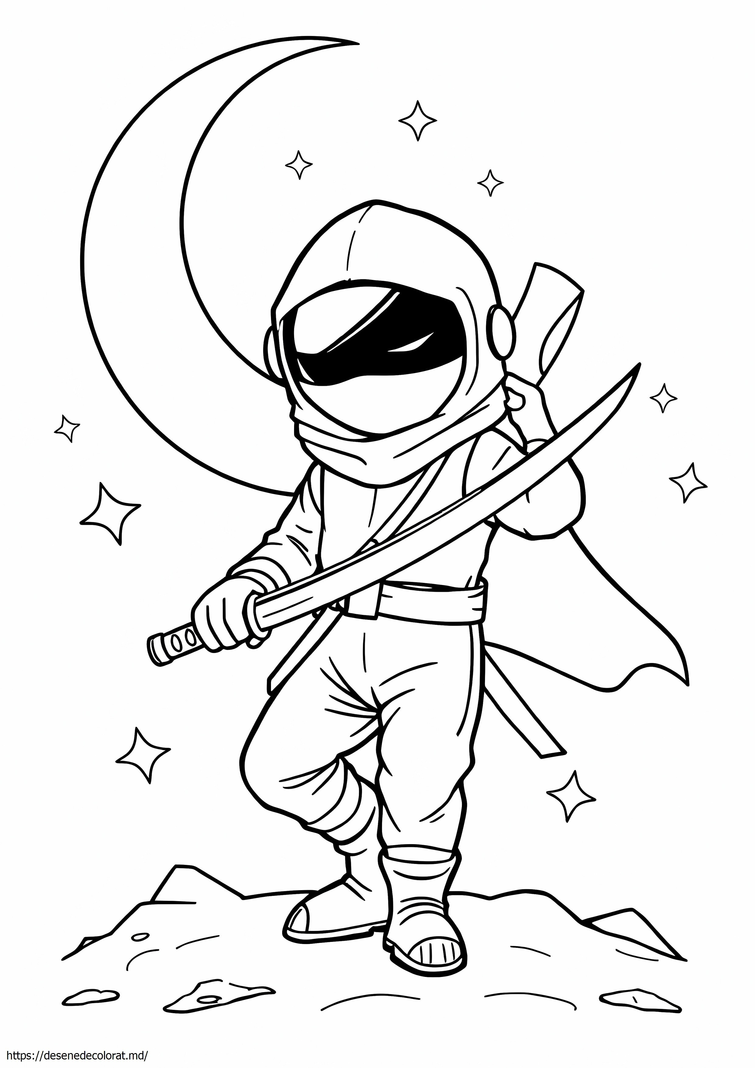 Printre noi ninja