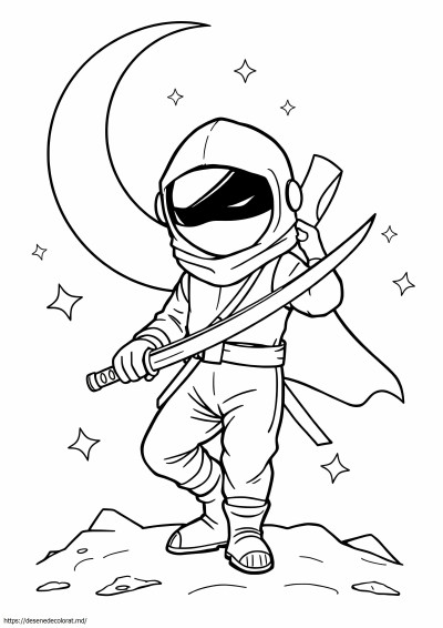 Printre noi ninja