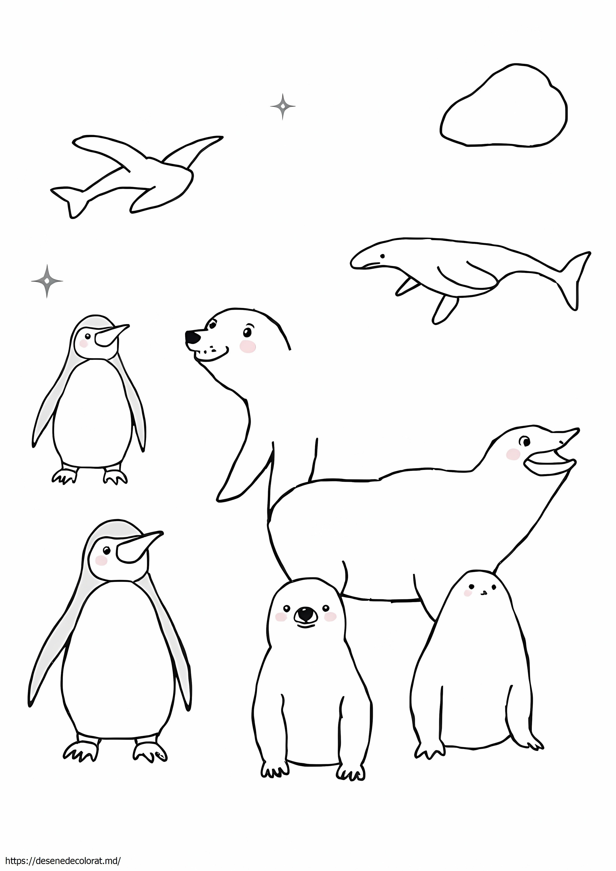 Animale antarctice