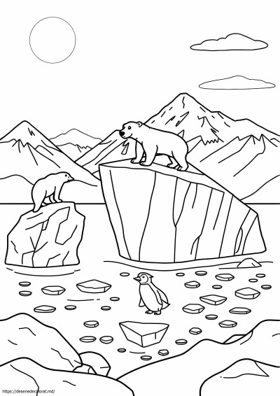 Habitat arctic