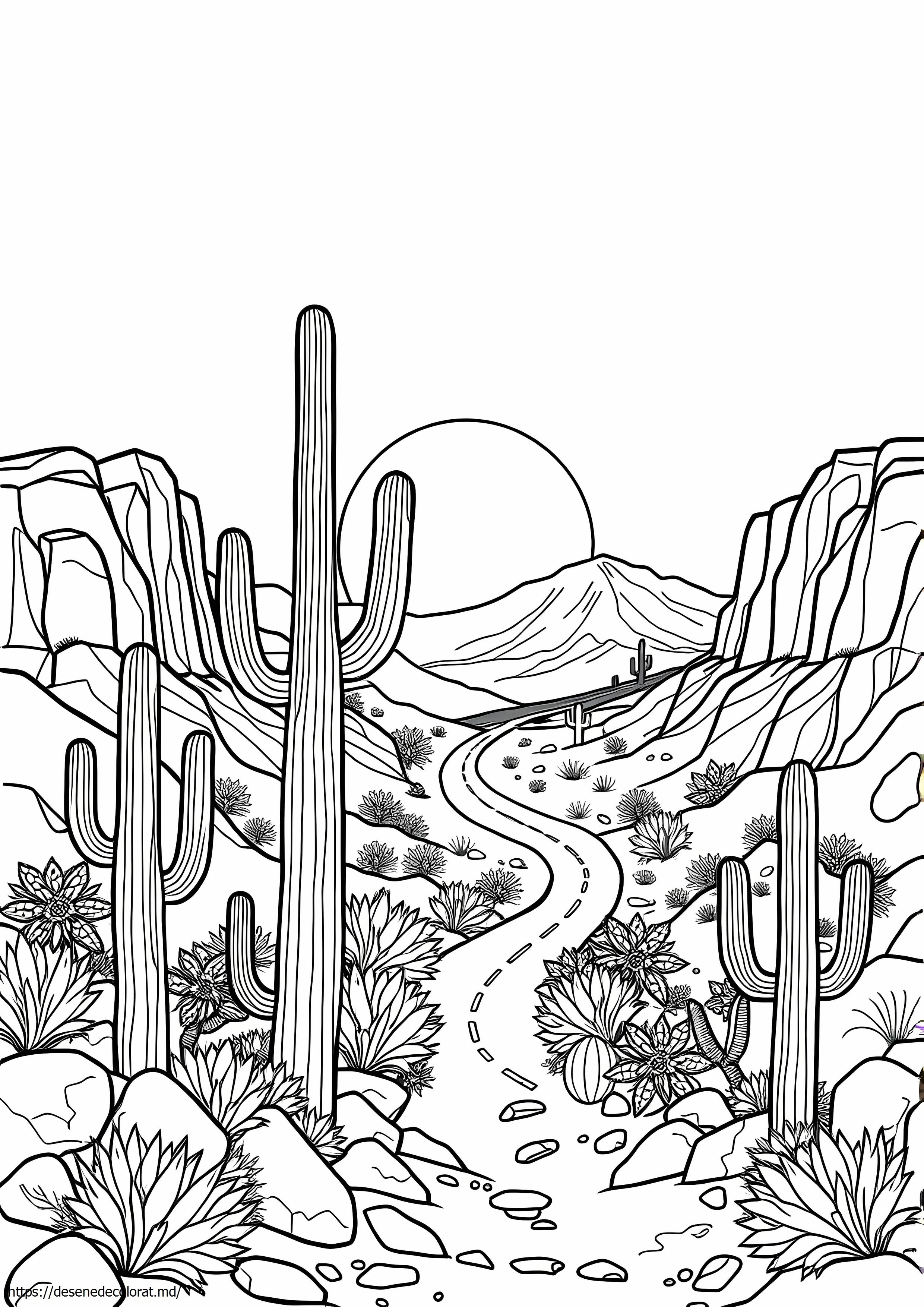 Desertul Arizona