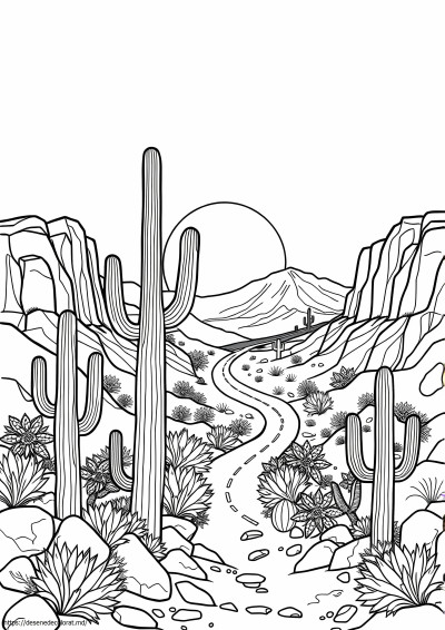 Desertul Arizona
